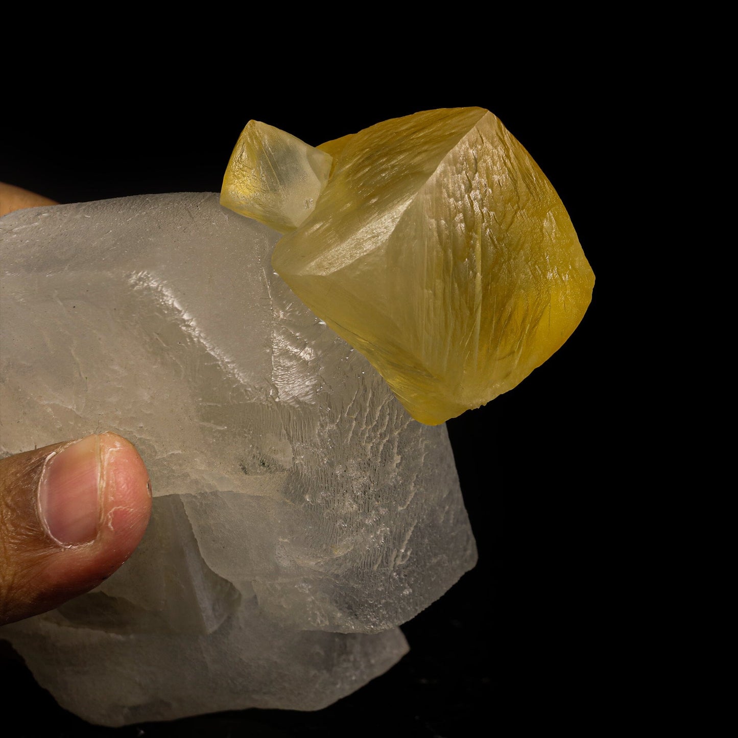 Rare Calcite on Barite Natural Mineral Specimen # B 6905 (USA)