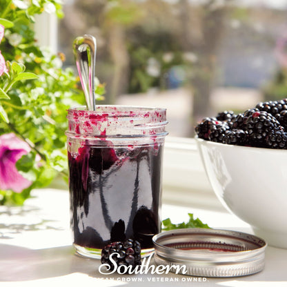 Black Raspberry – 30 Seeds