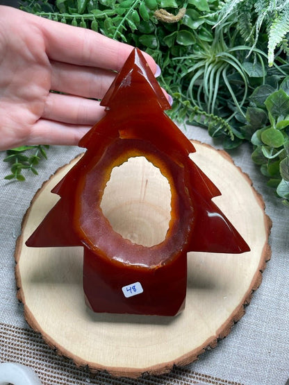 Red Druzy Agate Tree