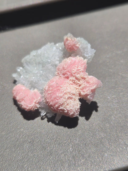 Wulfenite with Mimetite – 3" Specimen from Rowley Mine, Arizona