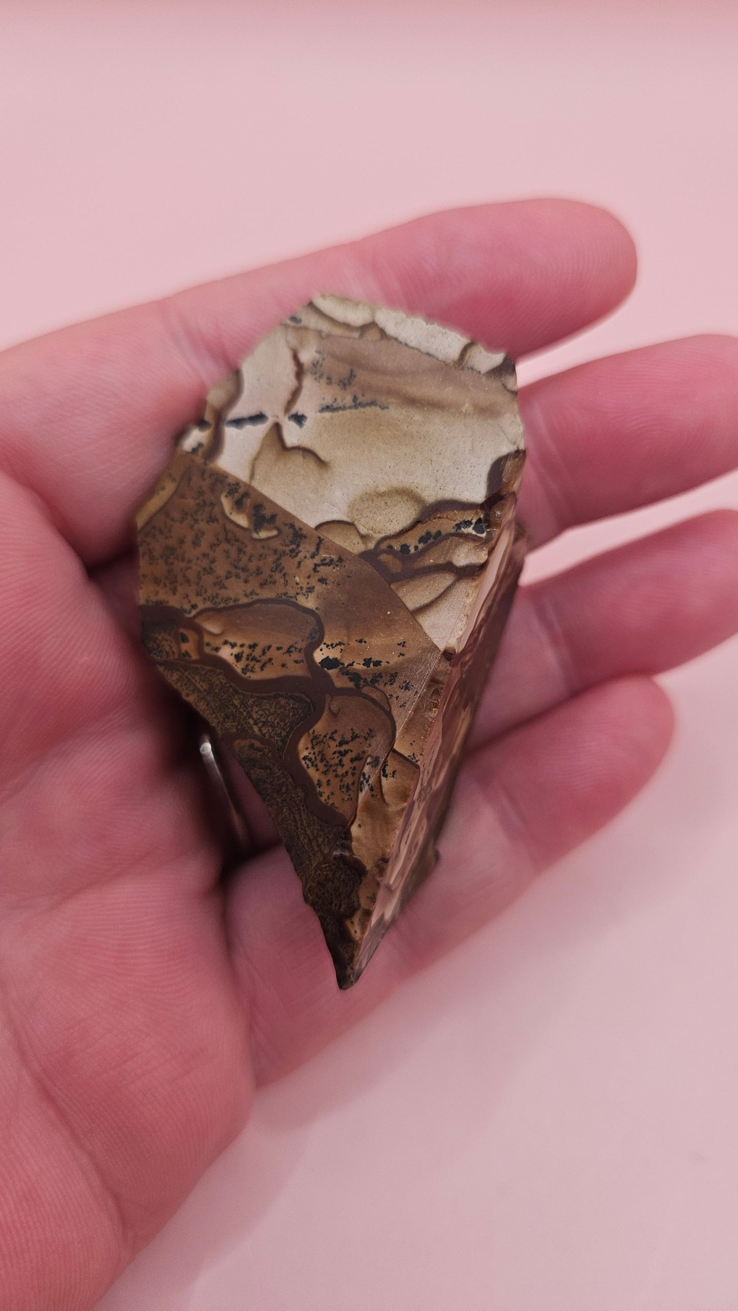 Rough Deschutes Jasper Specimen – 38g Oregon Picture Jasper with Scenic Earth Tones – Collector’s Natural Stone