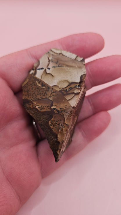 Rough Deschutes Jasper Specimen – 38g Oregon Picture Jasper with Scenic Earth Tones – Collector’s Natural Stone