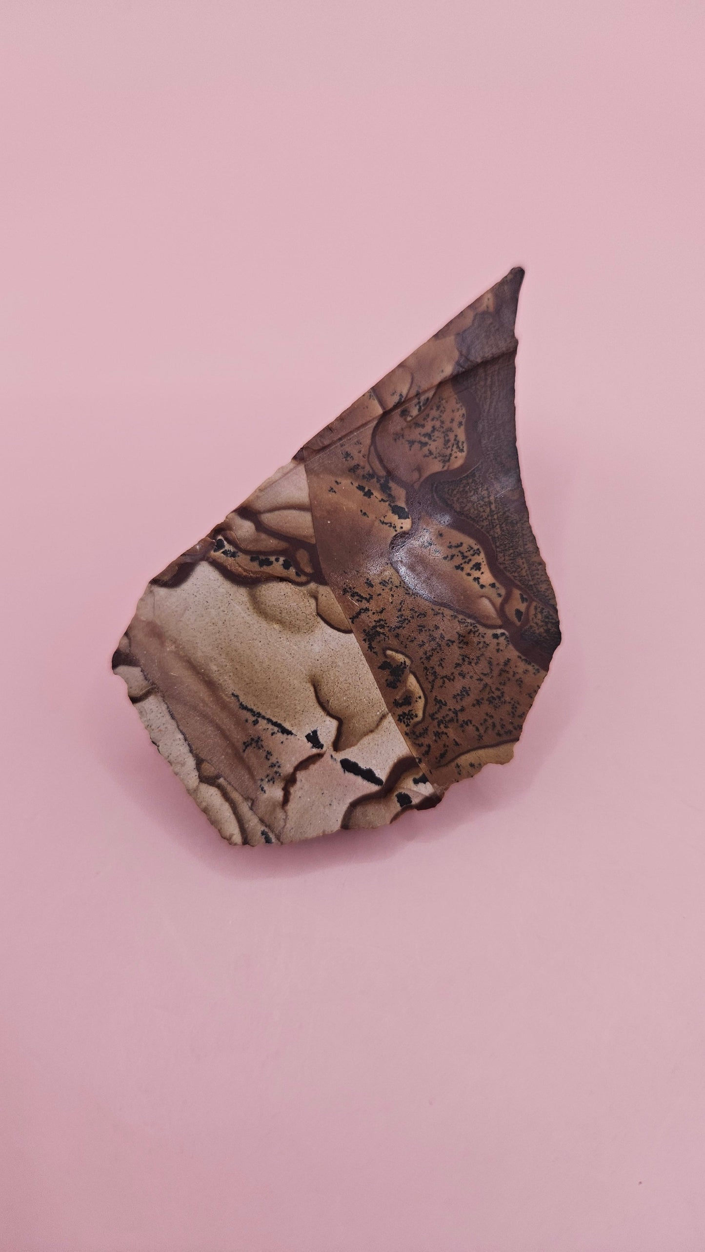 Rough Deschutes Jasper Specimen – 38g Oregon Picture Jasper with Scenic Earth Tones – Collector’s Natural Stone