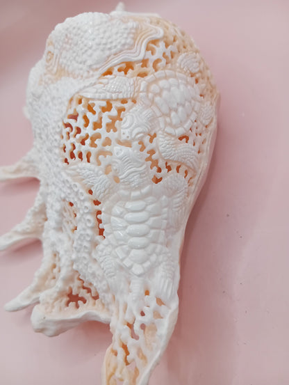 Hand-Carved Lambis Truncata Shell – Octopus Design – 9.5" Coastal Art Decor