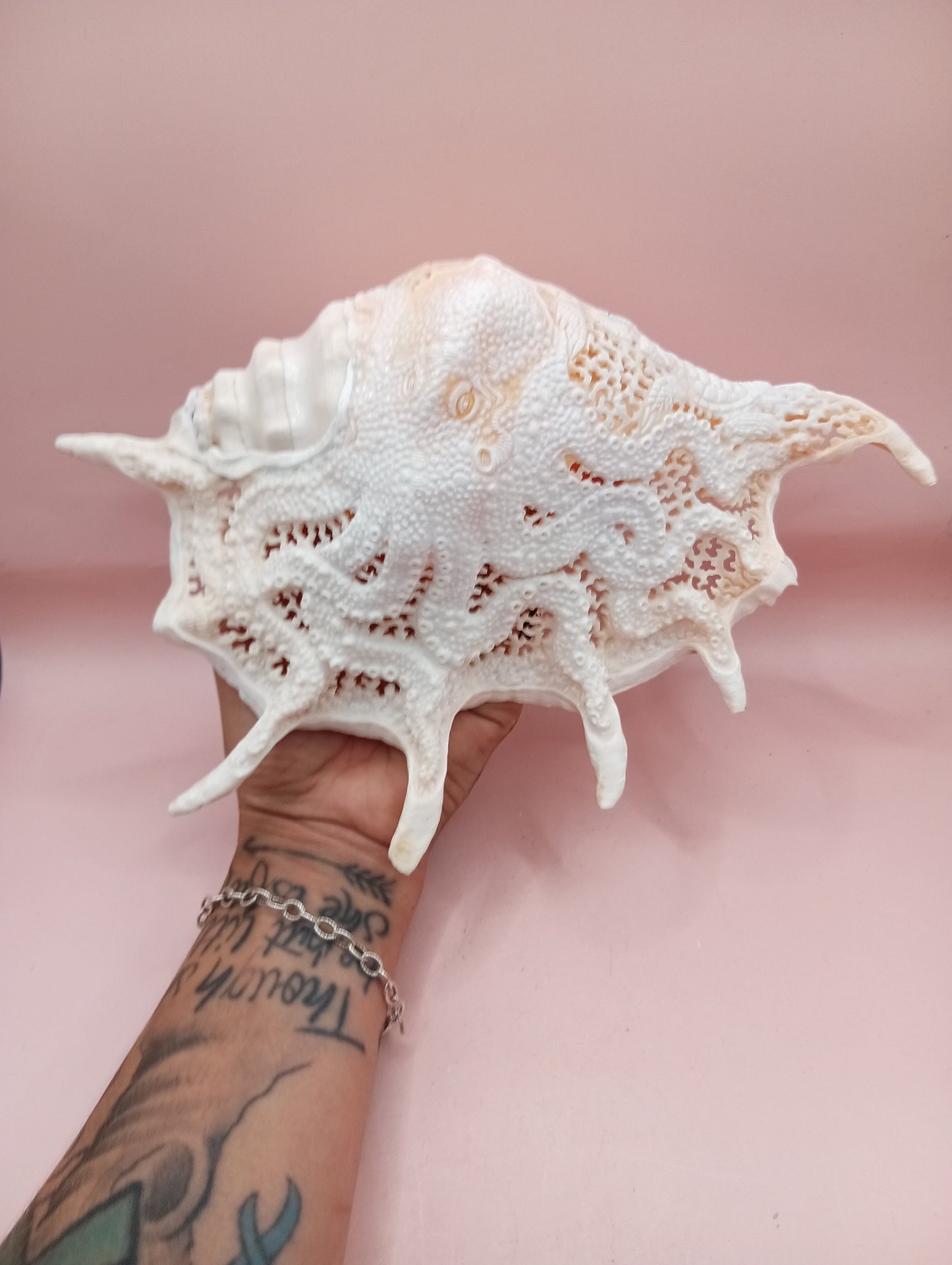 Hand-Carved Lambis Truncata Shell – Octopus Design – 9.5" Coastal Art Decor