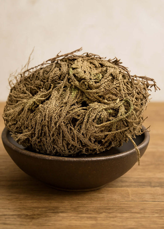 Rose of Jericho Doradilla Flower
