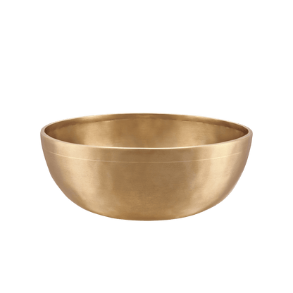 Chakra Metal Singing Bowl Set - 7 Sound Bowls