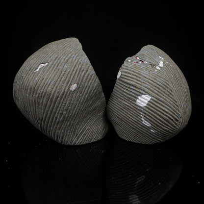 Scolecite Spray Inside Complete Geode Natural Mineral Specimen # B 7029