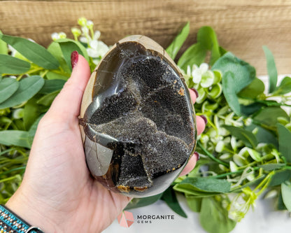 Septarian Dragon Egg Druzy Geode No. 1 – 4.2" × 3.3" × 3.1" | 1.83 lb Unique Crystal Specimen