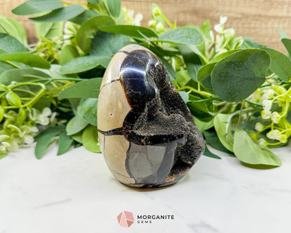 Septarian Dragon Egg Druzy Geode No. 1 – 4.2" × 3.3" × 3.1" | 1.83 lb Unique Crystal Specimen