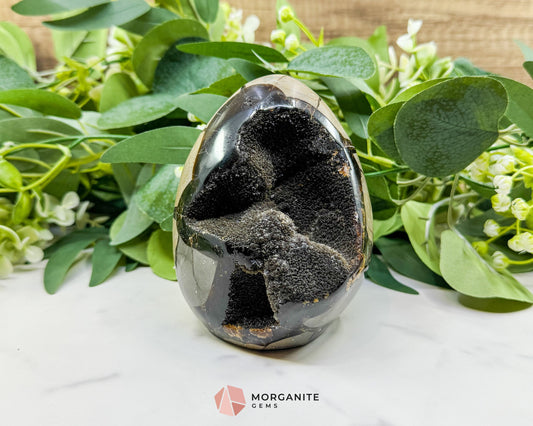 Septarian Dragon Egg Druzy Geode No. 1 – 4.2" × 3.3" × 3.1" | 1.83 lb Unique Crystal Specimen