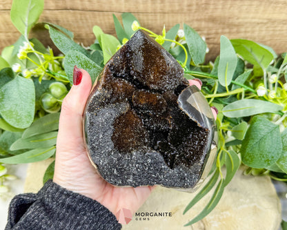 Septarian Dragon Egg Druzy Geode No. 2 – 4.8″ × 4.1″ × 2.8″ | 2.2 lb Earthy Crystal Specimen