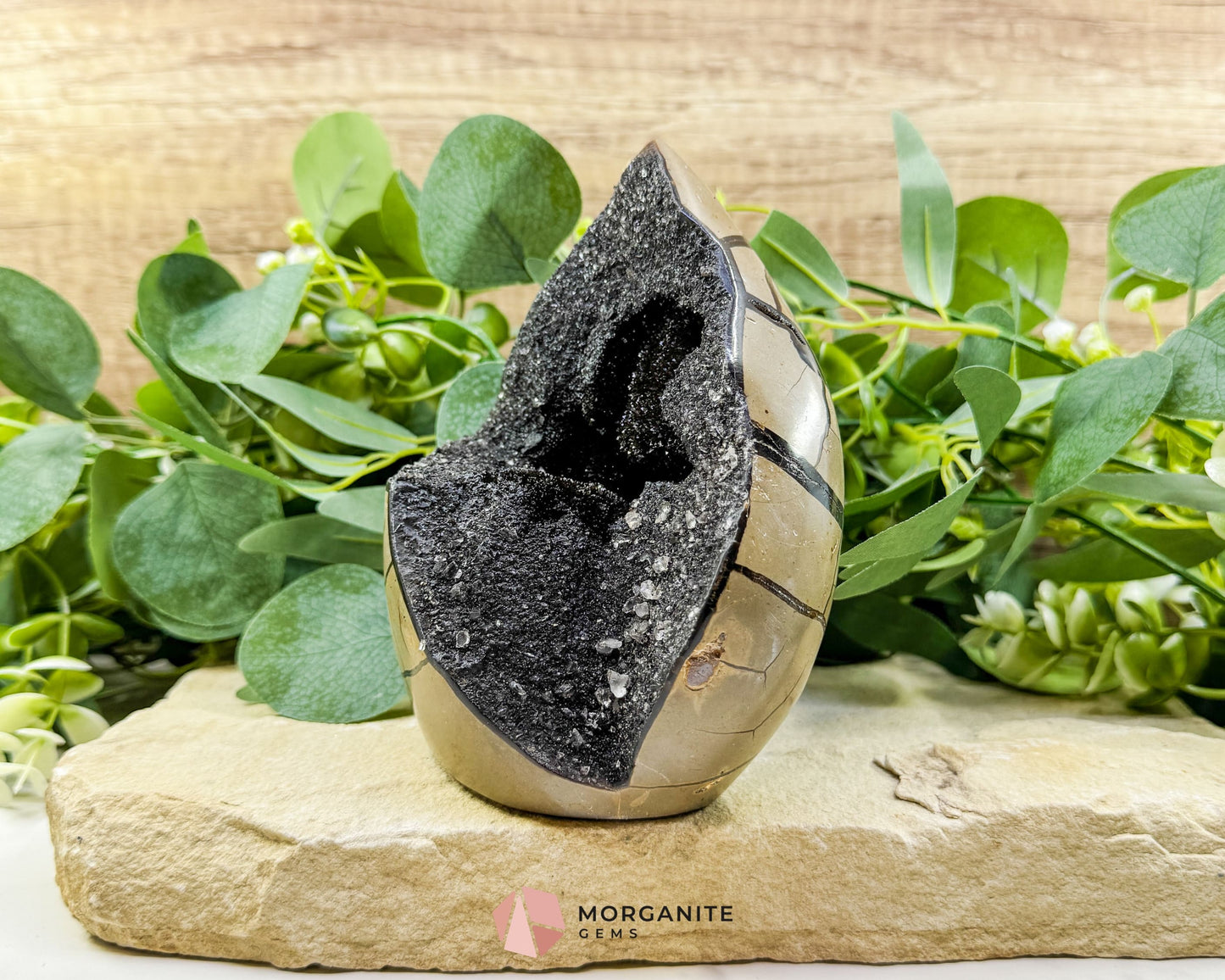 Septarian Dragon Egg Druzy Geode No. 3 – 6″ × 4.5″ × 3″ | 2.84 lb Statement Specimen