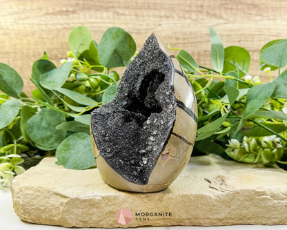 Septarian Dragon Egg Druzy Geode No. 3 – 6″ × 4.5″ × 3″ | 2.84 lb Statement Specimen