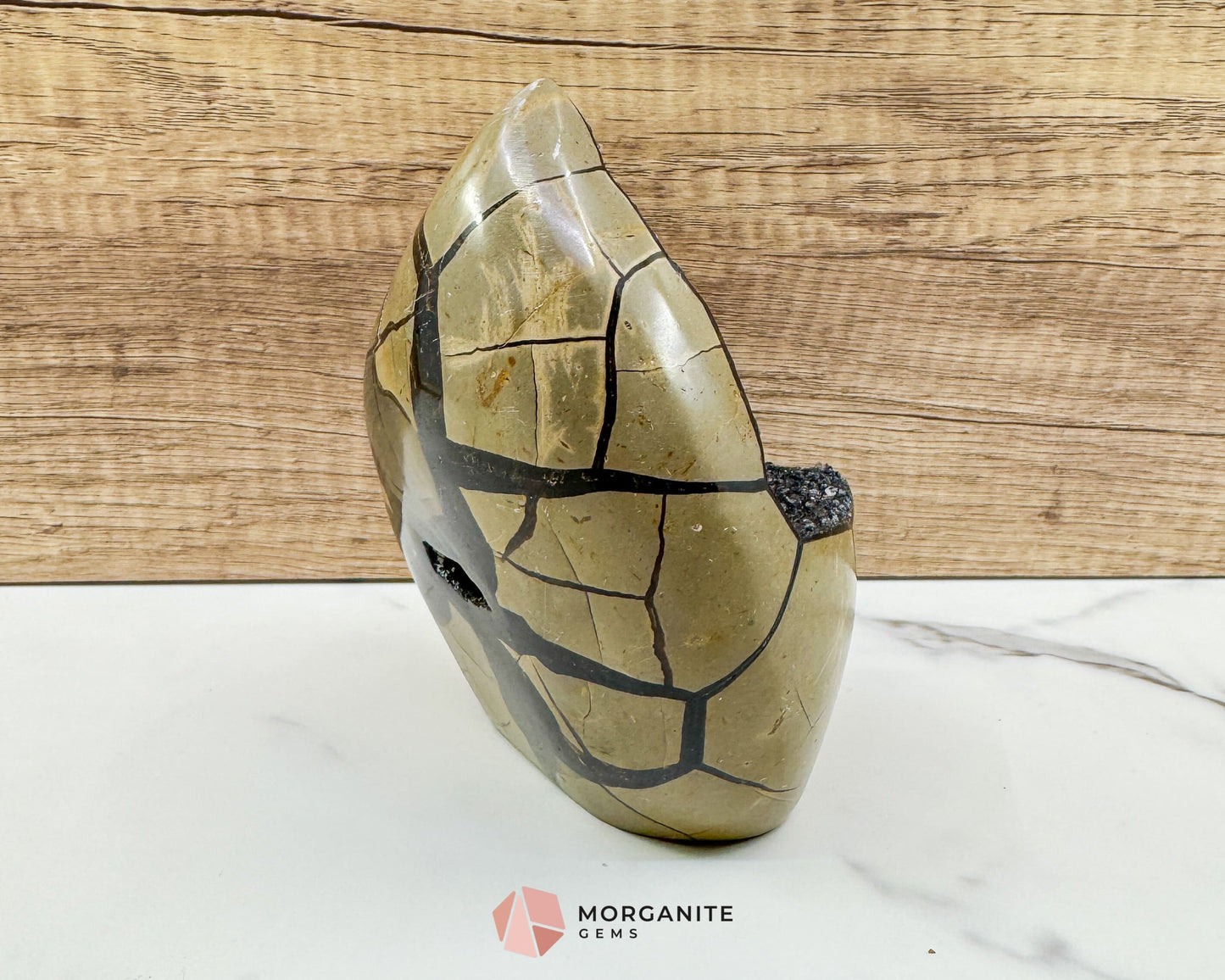 Septarian Dragon Egg Druzy Geode No. 3 – 6″ × 4.5″ × 3″ | 2.84 lb Statement Specimen