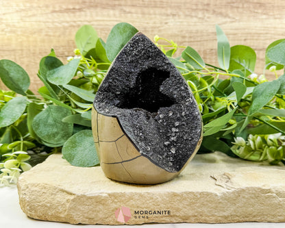 Septarian Dragon Egg Druzy Geode No. 3 – 6″ × 4.5″ × 3″ | 2.84 lb Statement Specimen