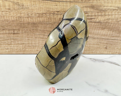 Septarian Dragon Egg Druzy Geode No. 3 – 6″ × 4.5″ × 3″ | 2.84 lb Statement Specimen