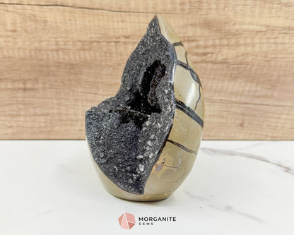 Septarian Dragon Egg Druzy Geode No. 3 – 6″ × 4.5″ × 3″ | 2.84 lb Statement Specimen