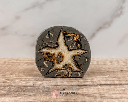 Septarian Nodule Polished End-Cuts – Unique Fossil Crystal for Grounding, Protection & Creativity