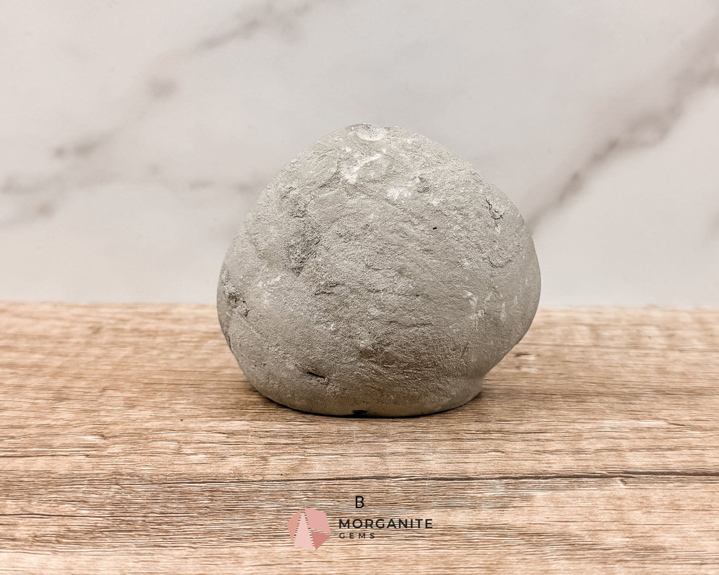 Septarian Nodule Polished End-Cuts – Unique Fossil Crystal for Grounding, Protection & Creativity