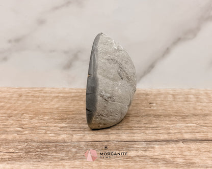 Septarian Nodule Polished End-Cuts – Unique Fossil Crystal for Grounding, Protection & Creativity