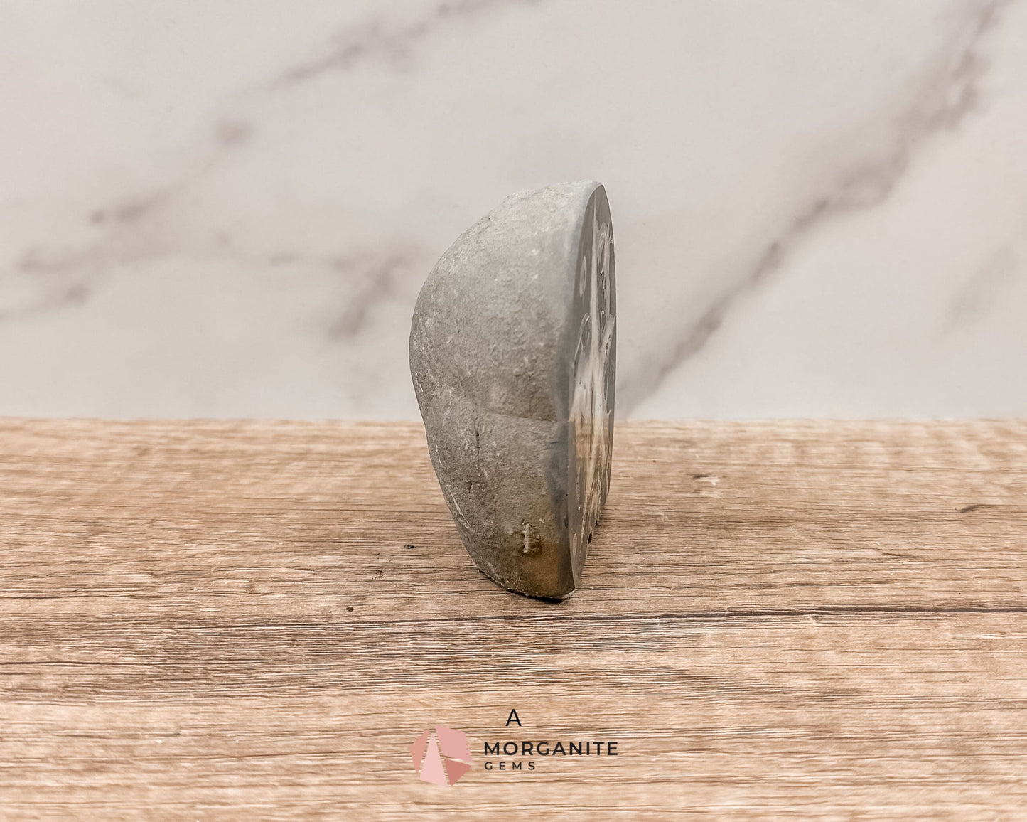 Septarian Nodule Polished End-Cuts – Unique Fossil Crystal for Grounding, Protection & Creativity