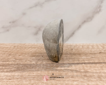 Septarian Nodule Polished End-Cuts – Unique Fossil Crystal for Grounding, Protection & Creativity