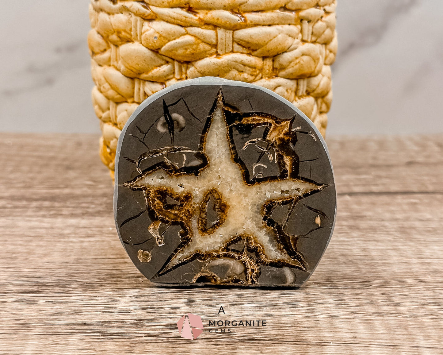 Septarian Nodule Polished End-Cuts – Unique Fossil Crystal for Grounding, Protection & Creativity