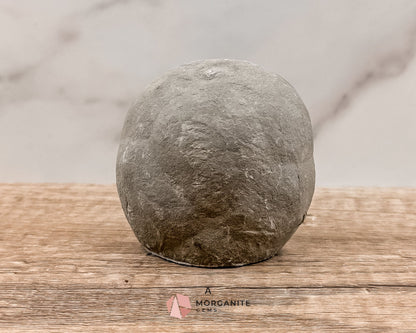 Septarian Nodule Polished End-Cuts – Unique Fossil Crystal for Grounding, Protection & Creativity