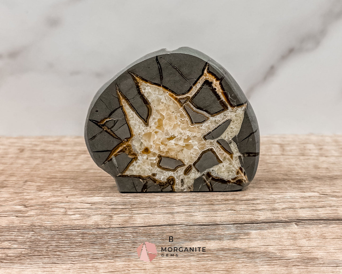 Septarian Nodule Polished End-Cuts – Unique Fossil Crystal for Grounding, Protection & Creativity