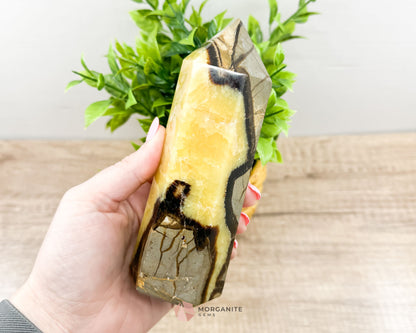 Septarian Nodule Standing Point Dragon Stone