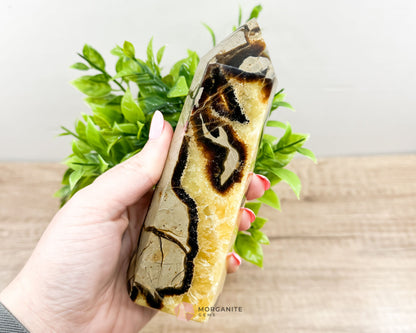 Septarian Nodule Standing Point Dragon Stone