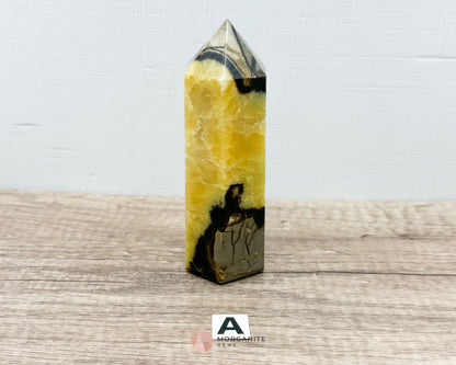 Septarian Nodule Standing Point Dragon Stone