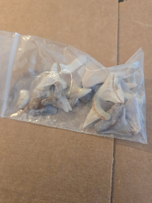 Shark tooth bag