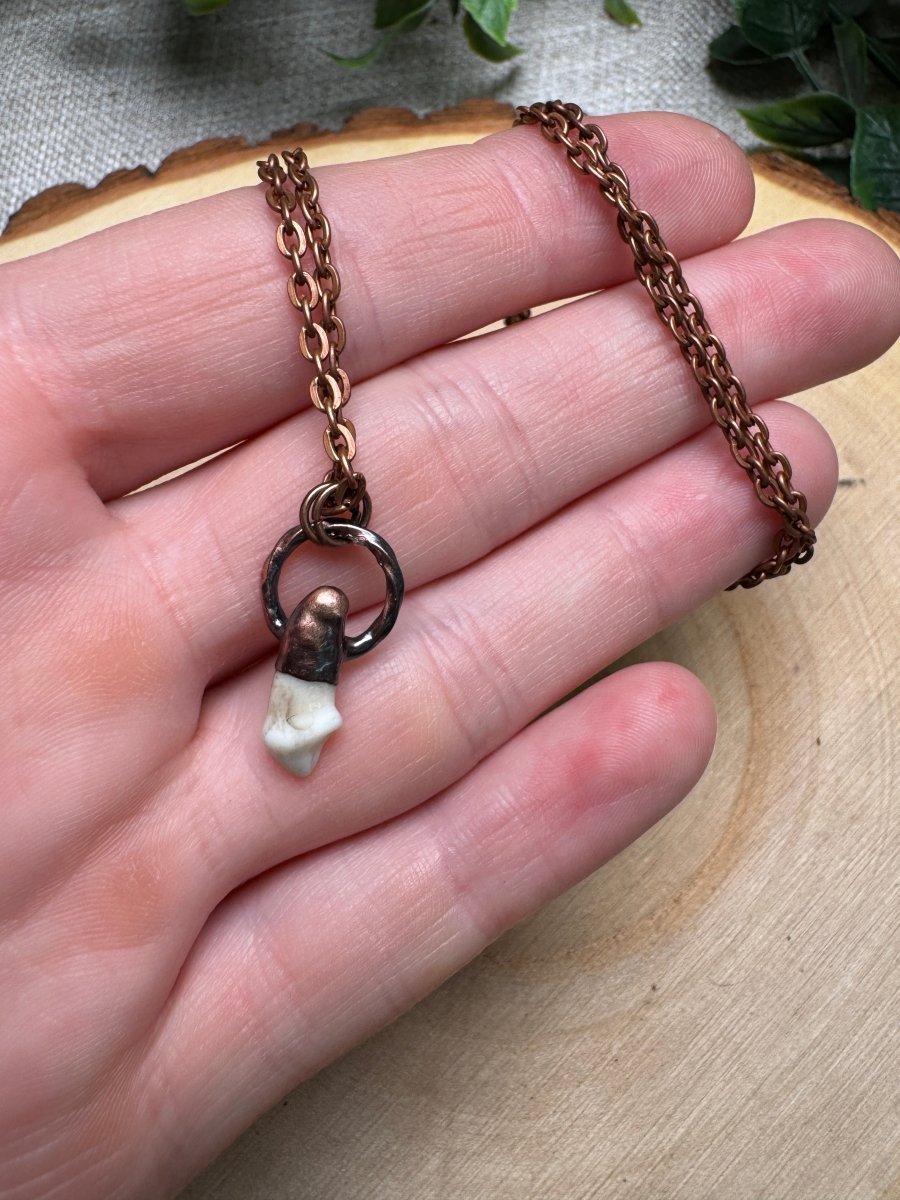 Sibyl- Canine Tooth Necklace