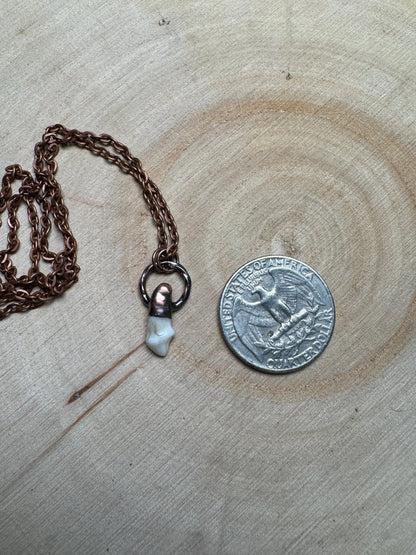 Sibyl- Canine Tooth Necklace