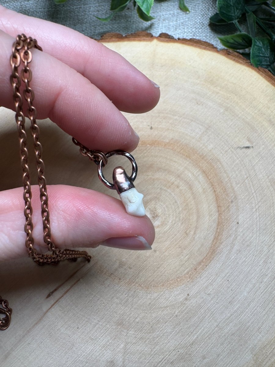 Sibyl- Canine Tooth Necklace