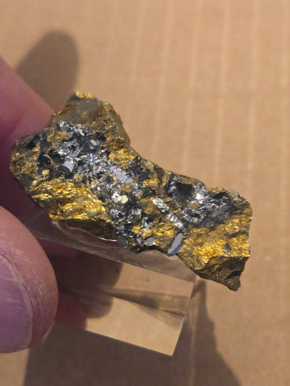 Sperrylite Rare Mineral Specimen – 1.5" in Chalcopyrite, Norilsk Russia