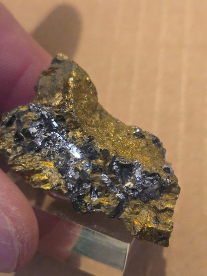 Sperrylite Rare Mineral Specimen – 1.5" in Chalcopyrite, Norilsk Russia