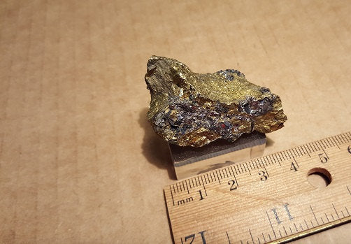 Sperrylite Rare Mineral Specimen – 1.5" in Chalcopyrite, Norilsk Russia