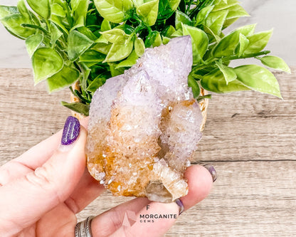 Spirit (Cactus) Quartz Specimens – Unique Natural Crystal Clusters for Spiritual Growth and Healing