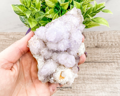 Spirit (Cactus) Quartz Specimens – Unique Natural Crystal Clusters for Spiritual Growth and Healing