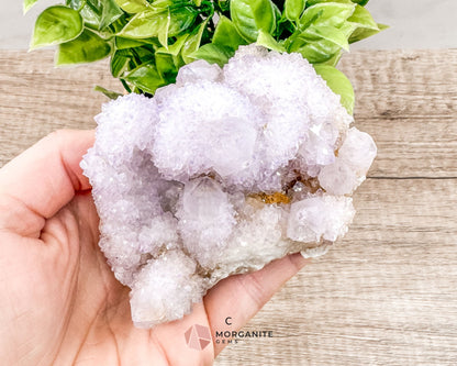 Spirit (Cactus) Quartz Specimens – Unique Natural Crystal Clusters for Spiritual Growth and Healing