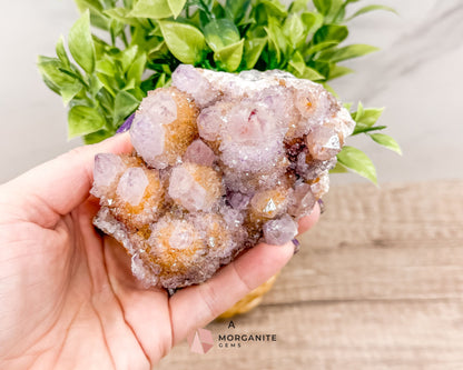 Spirit (Cactus) Quartz Specimens – Unique Natural Crystal Clusters for Spiritual Growth and Healing