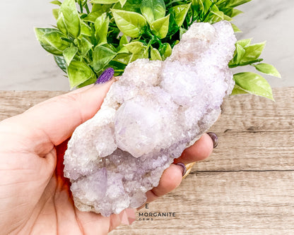 Spirit (Cactus) Quartz Specimens – Unique Natural Crystal Clusters for Spiritual Growth and Healing