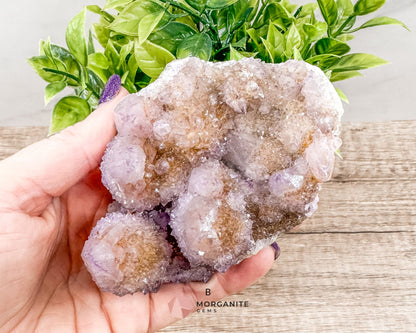 Spirit (Cactus) Quartz Specimens – Unique Natural Crystal Clusters for Spiritual Growth and Healing