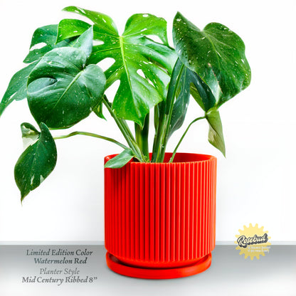 Mid-Century Ribbed Planter