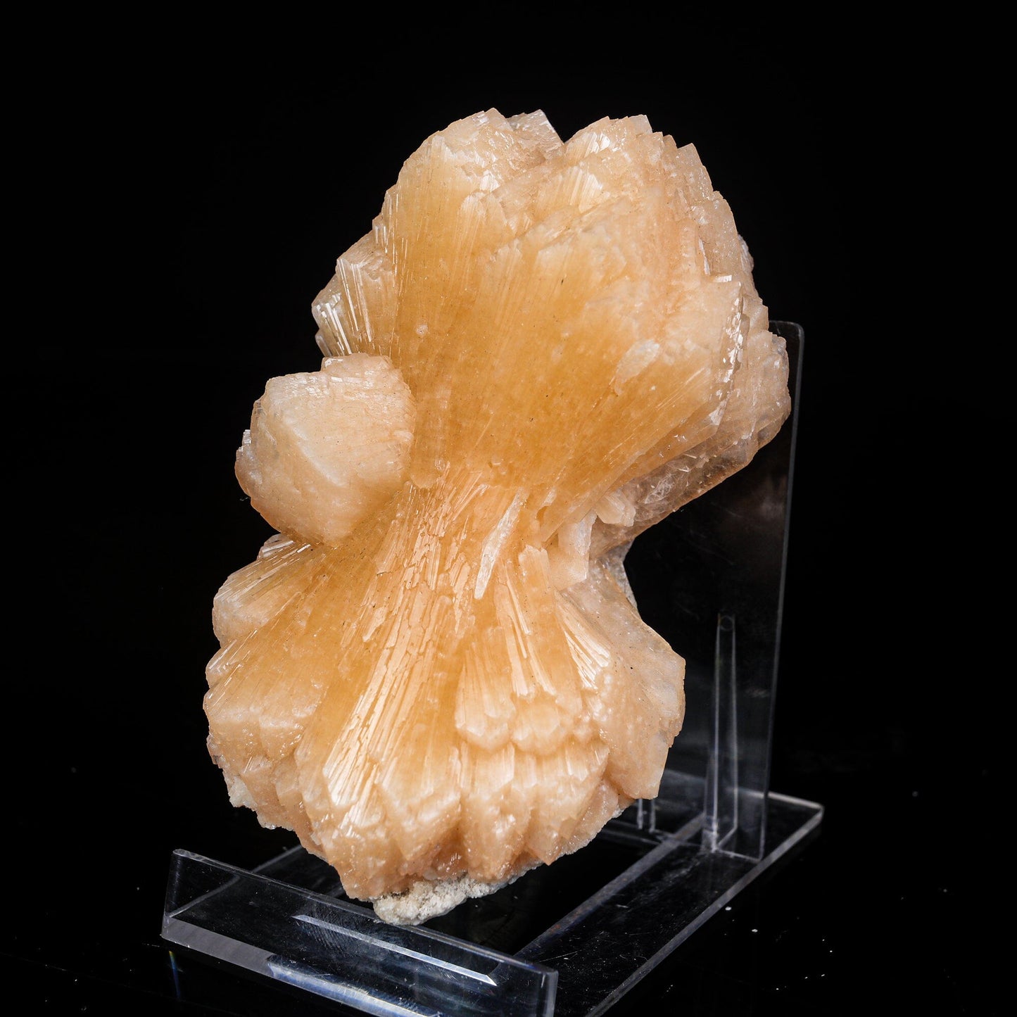 Stilbite Bow Natural Mineral Specimen # B 7004