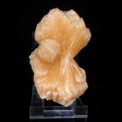 Stilbite Bow Natural Mineral Specimen # B 7004