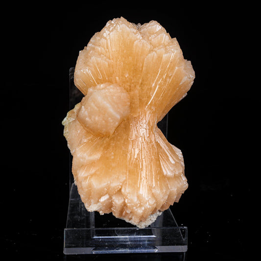 Stilbite Bow Natural Mineral Specimen # B 7004